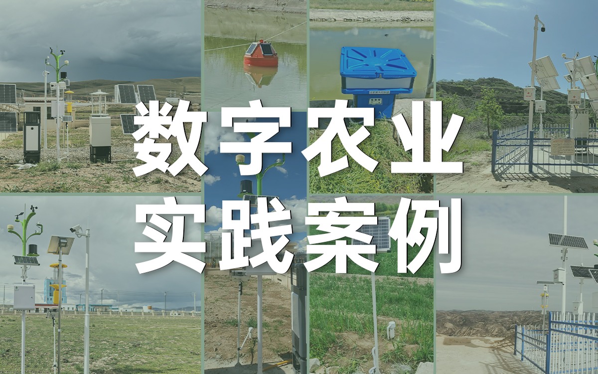 案例深一度 | 云顶集团(中国)官方网站科技如何用数字科技赋能西部农业